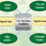 Tín chỉ carbon từ góc nhìn thế giới