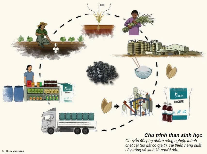 Than sinh học, công dụng và ứng dụng thực tế của than sinh học