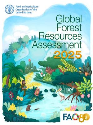 Tóm tắt báo cáo “Đánh giá nguồn tài nguyên rừng toàn cầu năm 2025 (FRA 2025)” Global Forest Resources Assessment 2025 (FRA 2025)