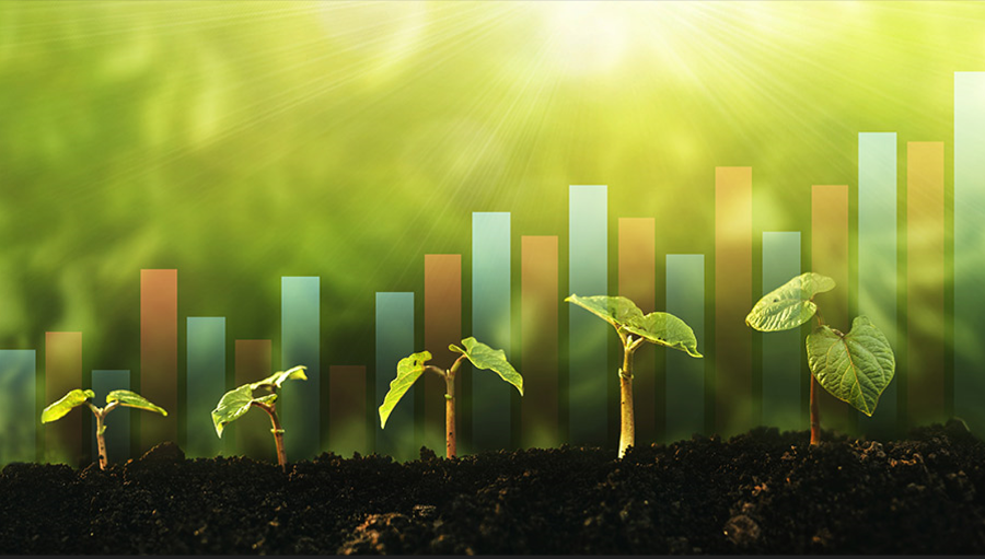 Thúc đẩy sử dụng năng lượng xanh trong các doanh nghiệp nhỏ và vừa tại Việt Nam